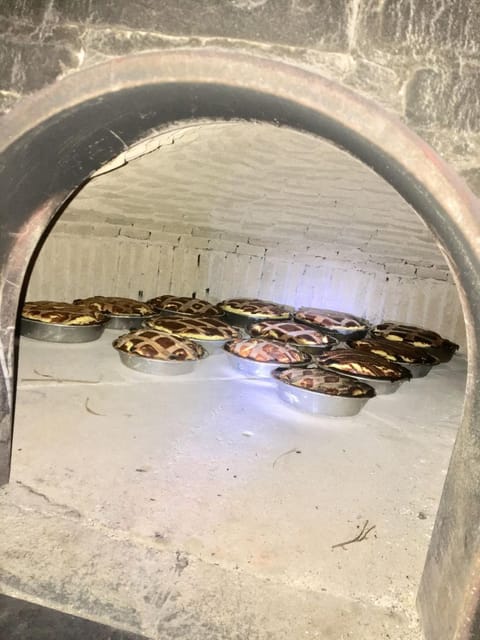 La Fortezza Farm Stay in Province of Foggia