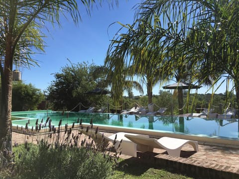 Garden, Garden view, Pool view, Swimming pool, Swimming pool