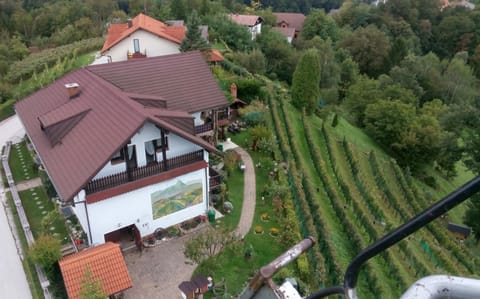 Bird's eye view, Garden view