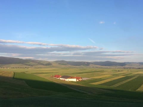 Spring, Day, Natural landscape, Bird's eye view, Garden, Golfcourse, On site, Mountain view