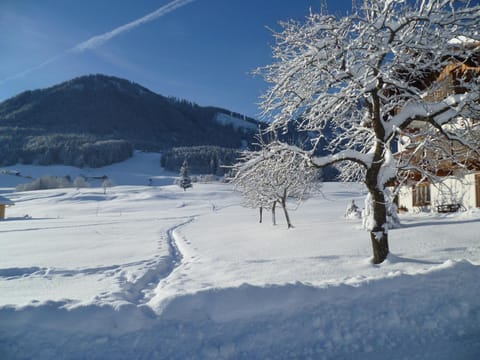 Ferienwohnungen Hollweger inkl. Chiemgaukarte Apartment in Ruhpolding