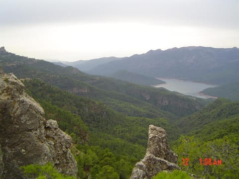 Natural landscape
