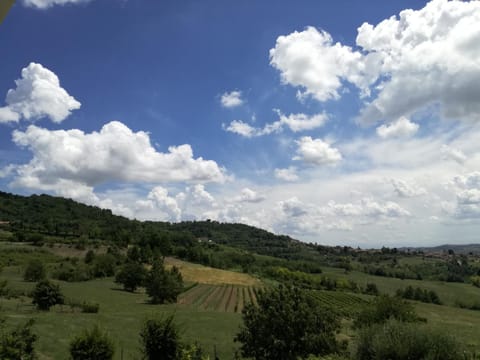 Landmark view
