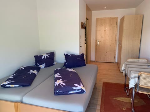 Haus Baracca Vacation rental in Canton of Grisons