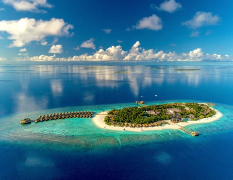 Property building, Bird's eye view