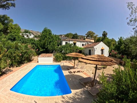 Garden, Swimming pool, sunbed