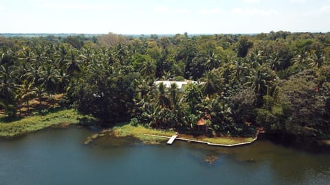 Bird's eye view, Lake view