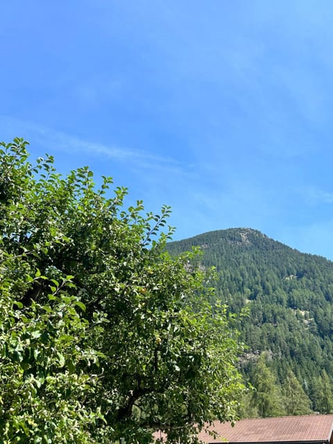 Gästehaus Schöpf Elsa Bed and Breakfast in Trentino-South Tyrol