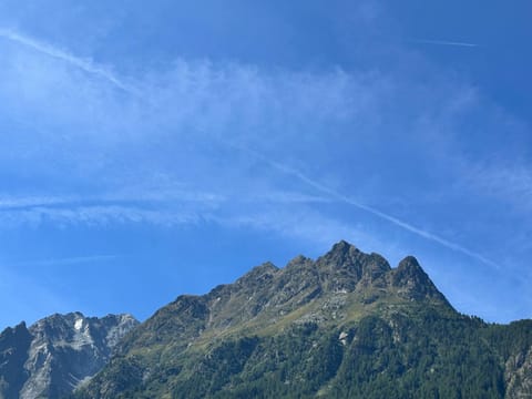 Gästehaus Schöpf Elsa Bed and Breakfast in Trentino-South Tyrol