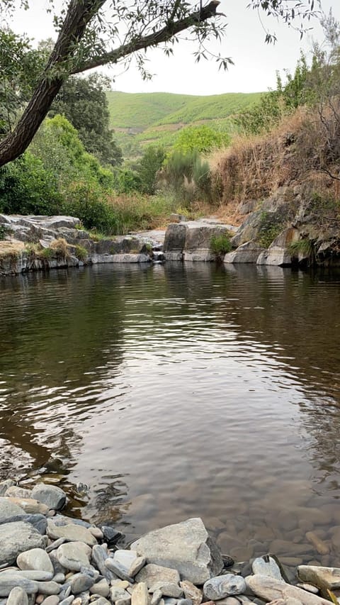 Natural landscape, Swimming pool