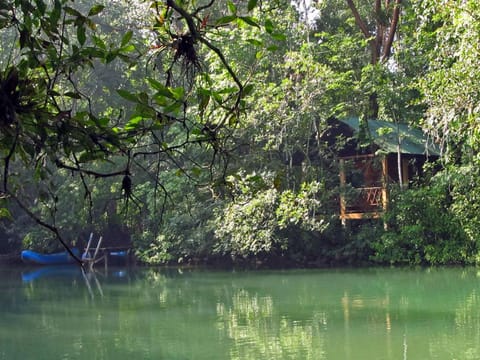 River view