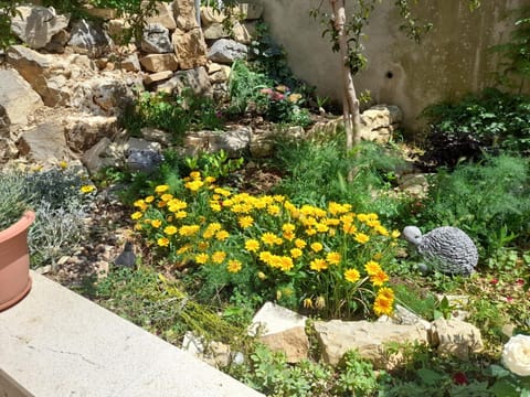 Day, Garden, Garden view