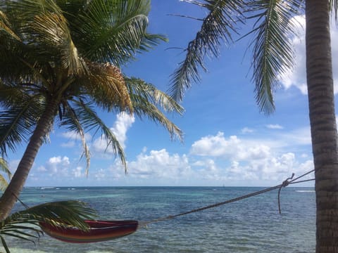 Sea view