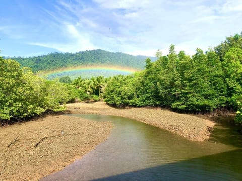 Natural landscape