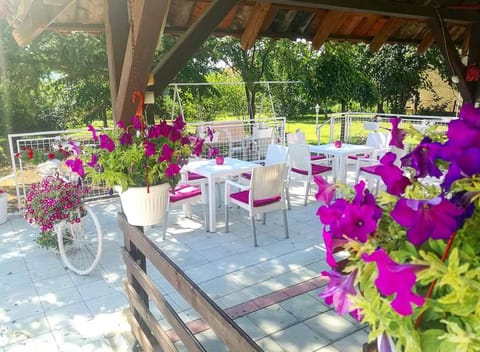 Maslina Rooms Bed and Breakfast in Vojvodina