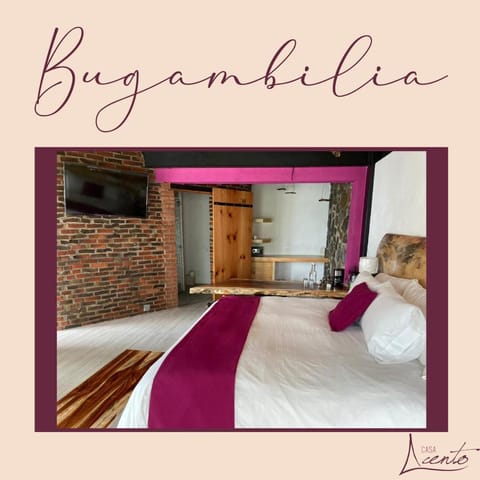 Casa Acento Vacation rental in Valle de Bravo