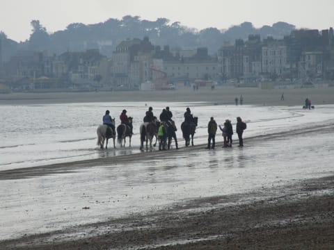 Lichfield House Bed and Breakfast in Weymouth