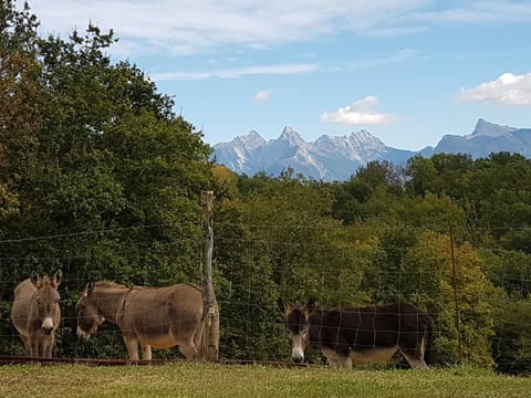 View (from property/room)