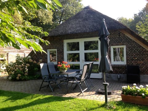 Day, Summer, On site