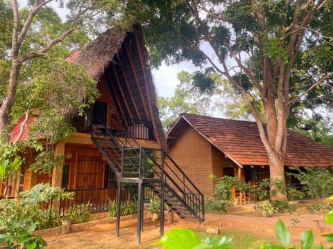 Property building, Garden, Garden view