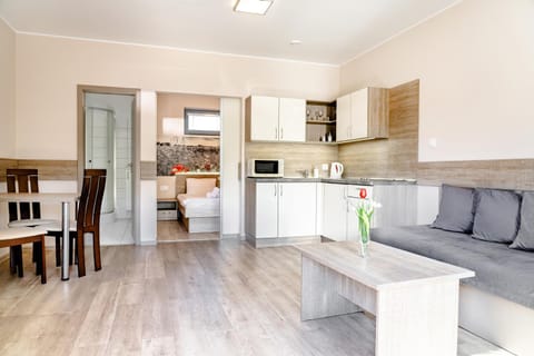 Kitchen or kitchenette, Living room, Dining area, stove