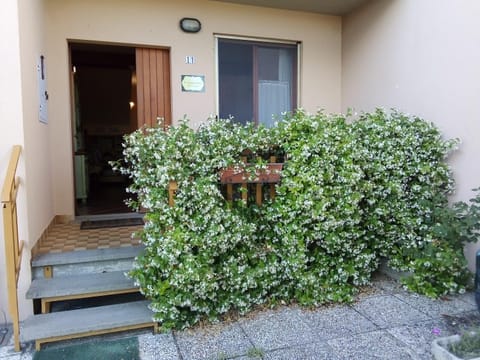 Property building, Spring, Day, Garden