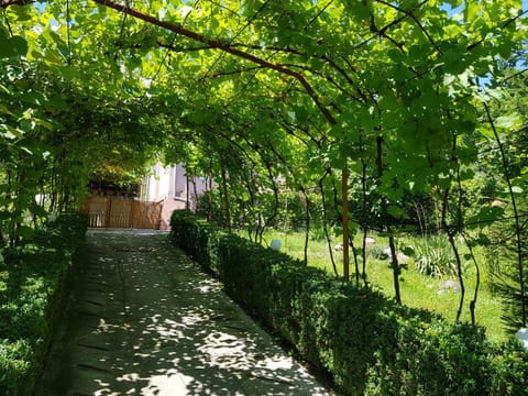 Natural landscape, Garden