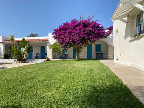 Property building, Garden, Garden view