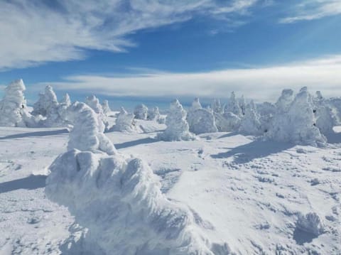 Loire-Gerbier-Mézenc Apartment in Auvergne-Rhône-Alpes