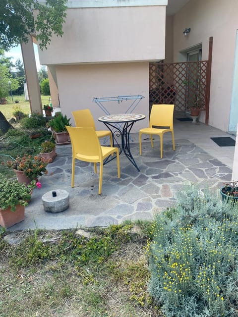 Patio, Garden