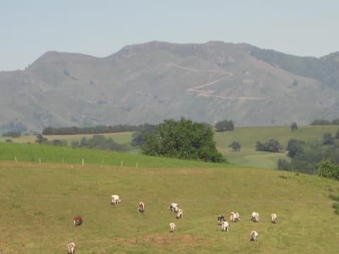 Mountain view