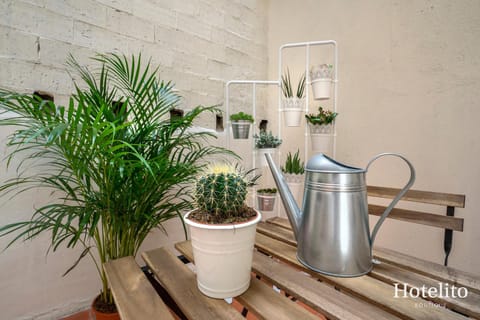 Hotelito Boutique Camp Nou Apartment hotel in L'Hospitalet de Llobregat