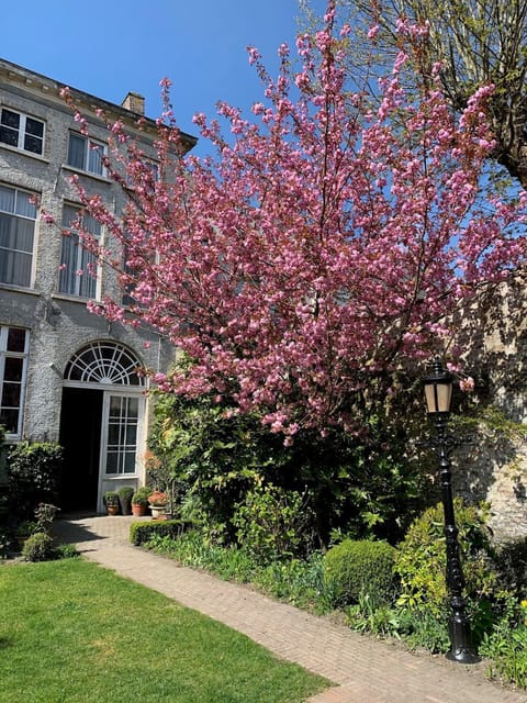 Spring, Garden view, Garden view, Breakfast