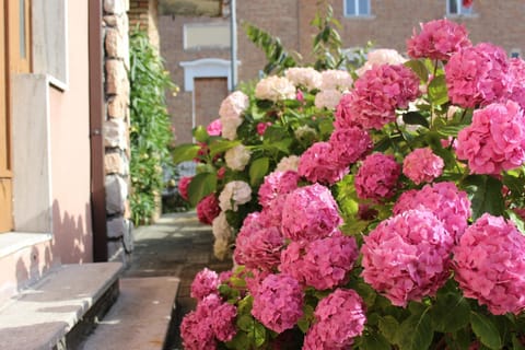 Property building, Garden, Decorative detail