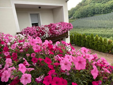 Garni San Paolo Bed and Breakfast in Trentino-South Tyrol