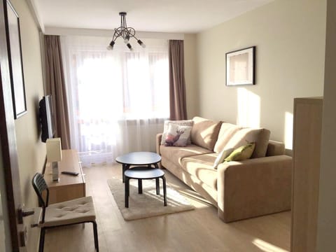 Day, TV and multimedia, Balcony/Terrace, Living room, Seating area