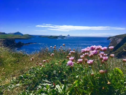 Cul Cottage House in County Kerry