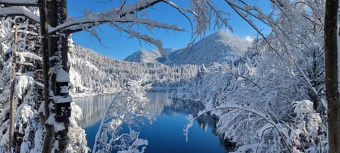 Apartements Breitenwang Apartment in Tyrol