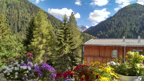 Natural landscape, Summer, Mountain view