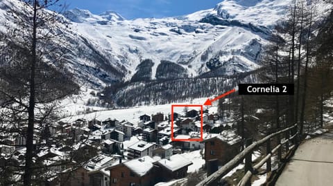 Cornelia Apartment in Saas-Fee