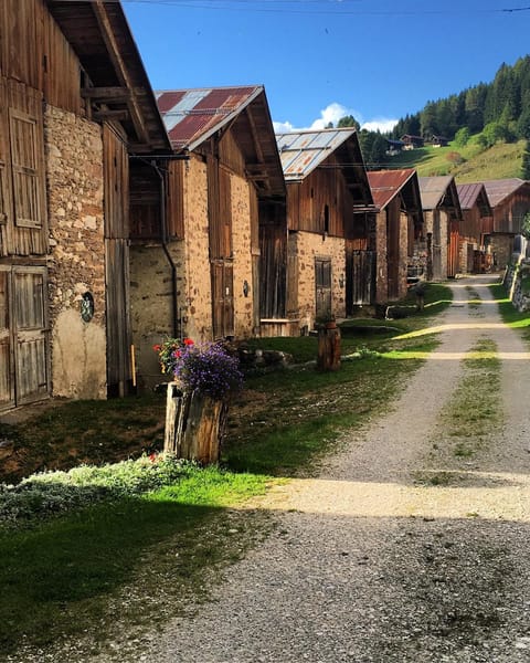 Nearby landmark, Day, Neighbourhood, Summer, Other