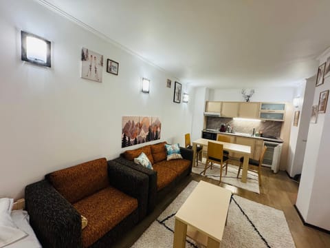 Kitchen or kitchenette, Living room, Seating area, Dining area, oven, stove