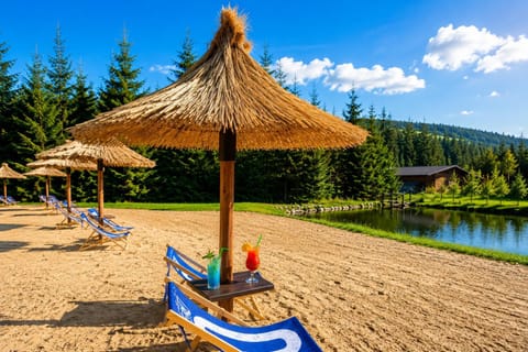 Natural landscape, Beach, Lake view, sunbed