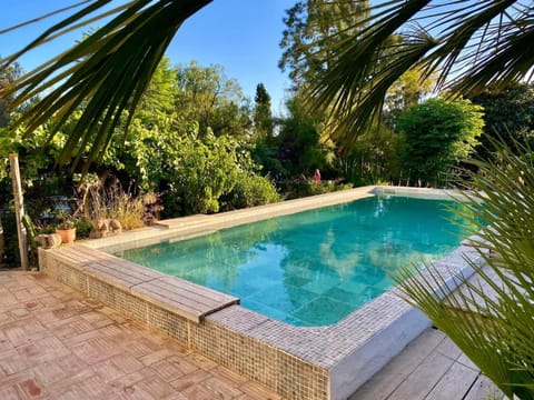 Garden, Pool view, Swimming pool