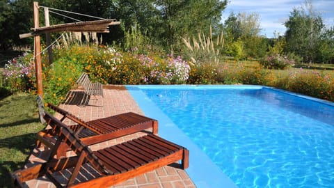 Summer, Garden, Garden, On site, Garden view, Mountain view, Pool view, Swimming pool