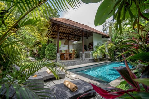 Sauna, Solarium, Steam room, Balcony/Terrace, Spa and wellness centre/facilities, Swimming pool
