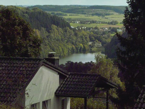 Lake view