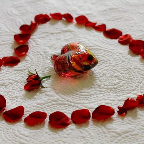 Casa de las Bugambilias B&B Bed and Breakfast in Oaxaca