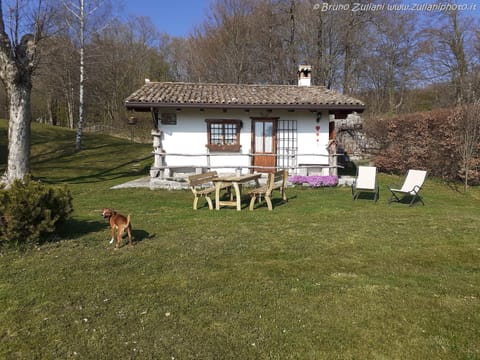 Property building, Garden, Pets, Garden view
