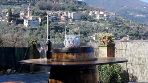Patio, Garden, Dining area